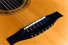 Detail view of the 7-string bridge