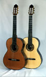 A classical duo - Cedar and Spruce top guitars