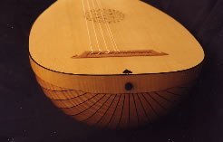 Tail view showing scalloped rib back
