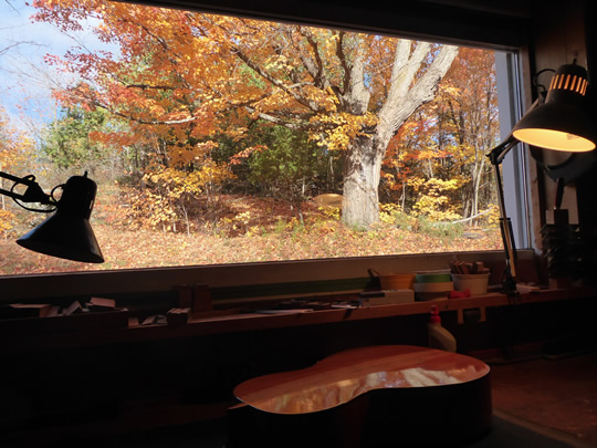 The view from my workshop window