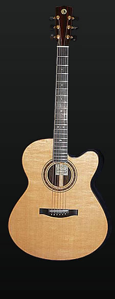 Full view of a Concert Custom cutaway