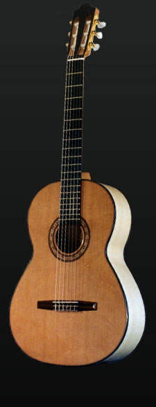 Full view of the Flamenco guitar