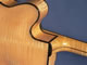 Detail of the cutaway
