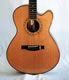 C-Model, custom cutaway, Cedar top 